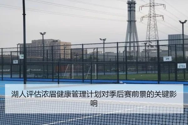 湖人评估浓眉健康管理计划对季后赛前景的关键影响